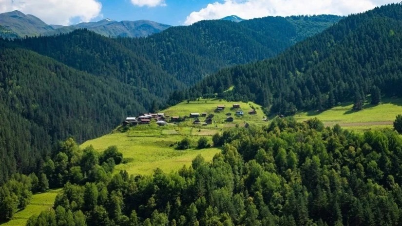 დაცული ტერიტორია
