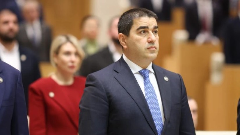 პაპუაშვილი პარლამენტი