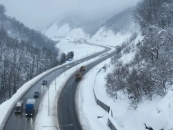 რიკოთი თოვლი
