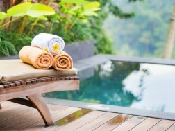 ველნეს ტურიზმი