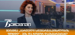 ანა კოშაძე