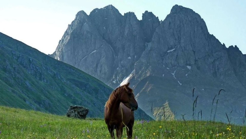 ეკოტურიზმი