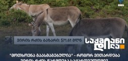 ვირის რძე