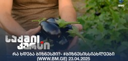 #ბიზნესისსიახლეები