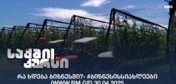 #ბიზნესისსიახლეები