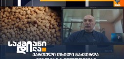 ჯენერ ბელქანია