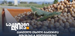 ქართული თხილი