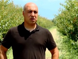 ნიკა გეთიაშვილი
