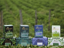 BUETEA
