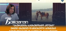 ნინო შერვაშიძე