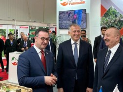 ალიევი