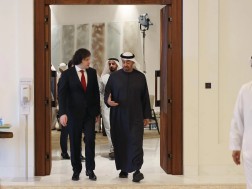 კობახიძე UAE