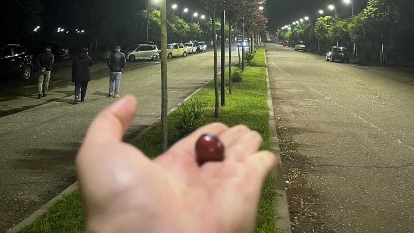 ტყემალი