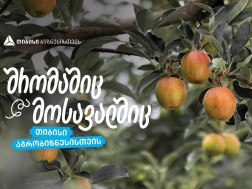 ვაშლი