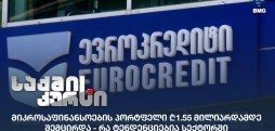 მიკროსაფინანსოების პორტფელი