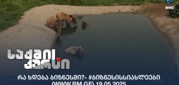 #ბიზნესისსიახლეები