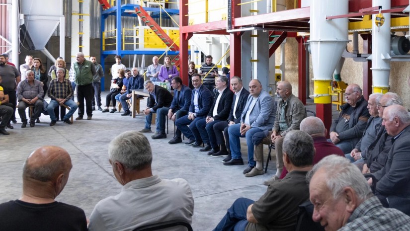 მეხორბლეები