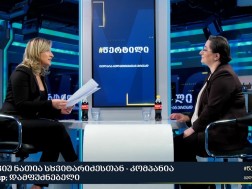 ნათია სხვიტარიძე