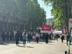 26 მაისი