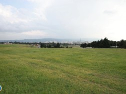 მიწა