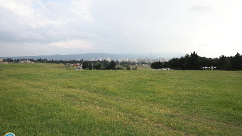 მიწა