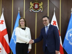 დავით სონღულაშვილი
