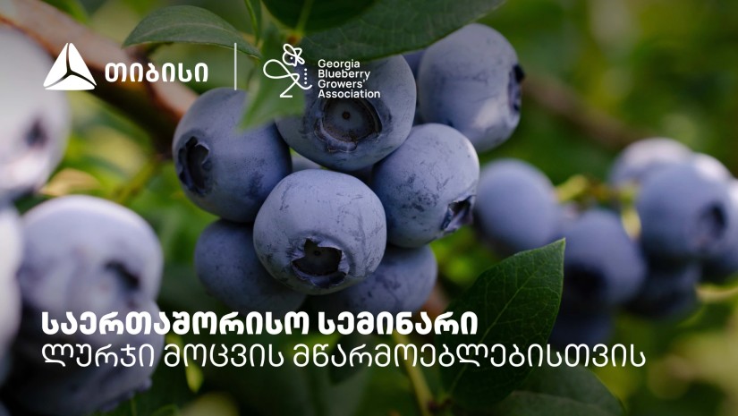 ლურჯი მოცვი