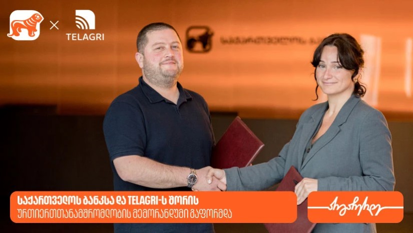 საქართველოს ბანკი