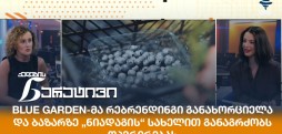 სალომე დიდებაშვილი