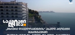 მზიური დეველოპმენტი