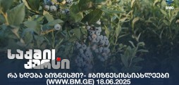 #ბიზნესისსიახლეები