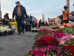 სომხეთი