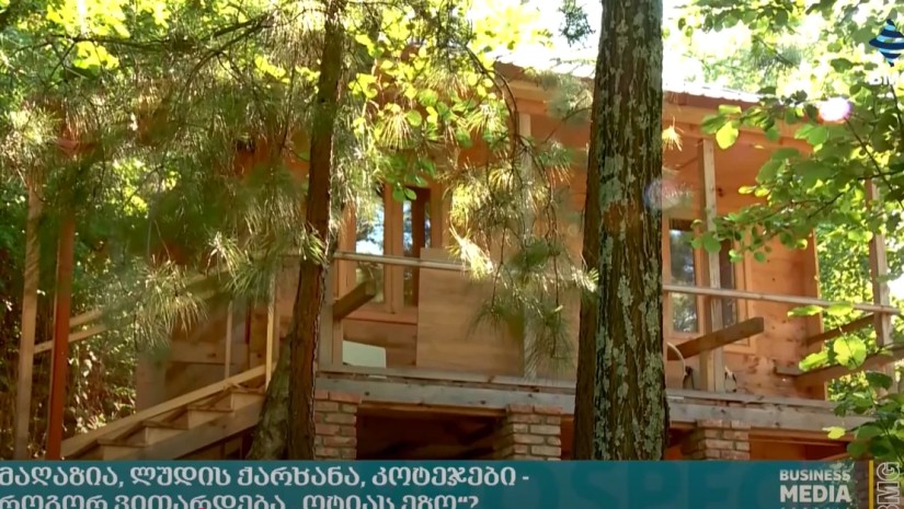 ოტიას ეზო 