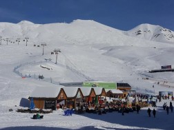 გუდაური