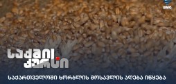 ხორბლის მოსავლის აღება
