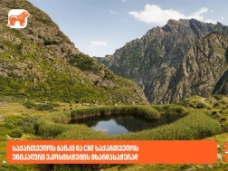 დაცული ტერიტორიები