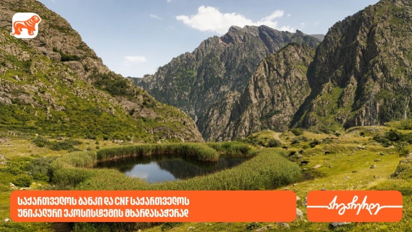 საქართველოს ბანკი