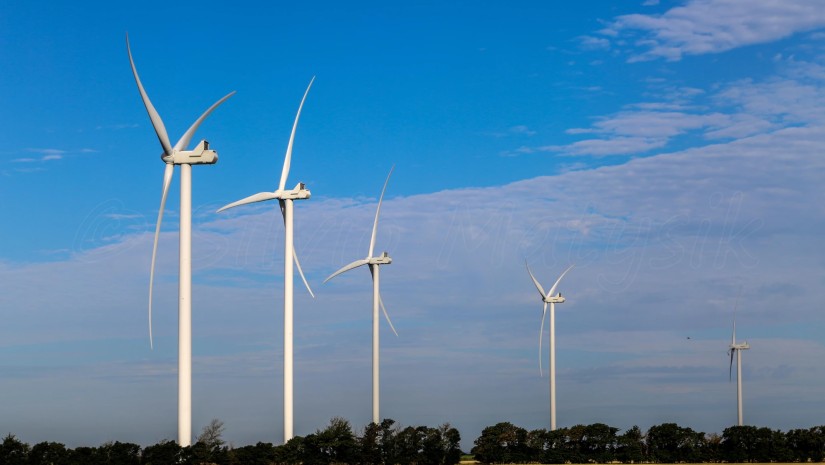 ქარის ენერგია Vestas