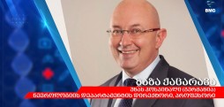 გერმანიის ჯანდაცვის სტანდარტის მიმოხილვა - ზაზა ქაცარავა