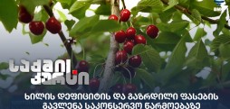 ხილის დეფიციტი