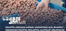 თხილის მოსავლი