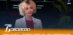 ნინი ჭაჭია