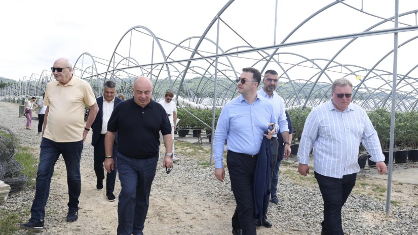 სონღულაშვილი