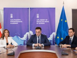 დავით სონღულაშვილი