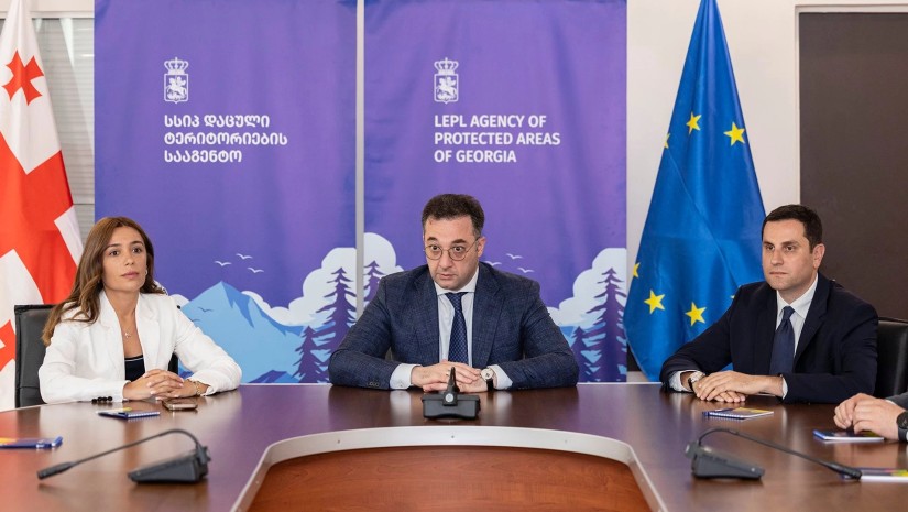 ბესიკ ამირანაშვილი