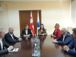 ეკატერინე სისაური