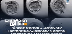 ინ ვიტრო ეკონომიკა