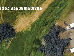 თეგეტა გრინ პლანეტი