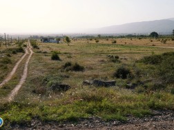 მიწის ნაკვეთი