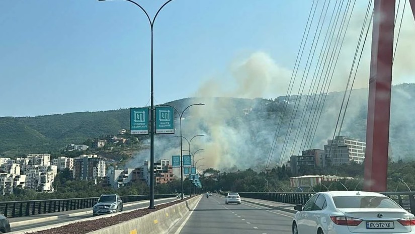 ბაგები